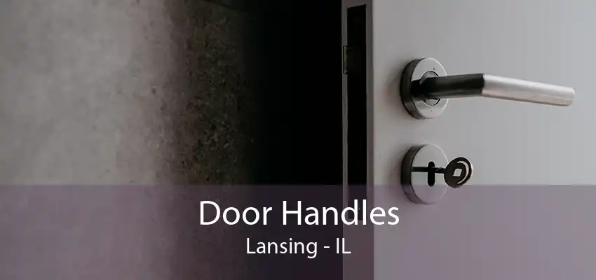 Door Handles Lansing - IL