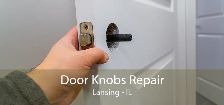 Door Knobs Repair Lansing - IL