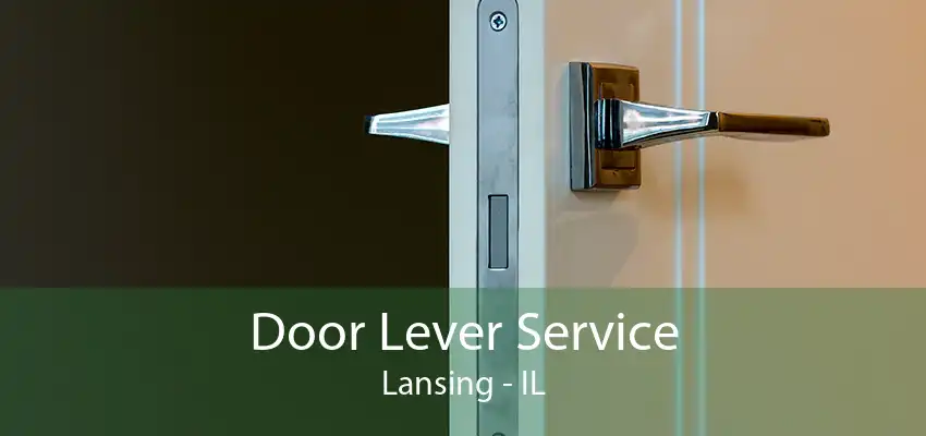 Door Lever Service Lansing - IL