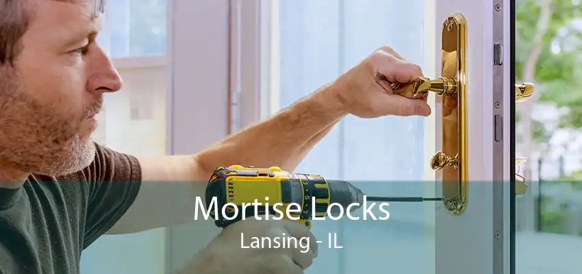 Mortise Locks Lansing - IL