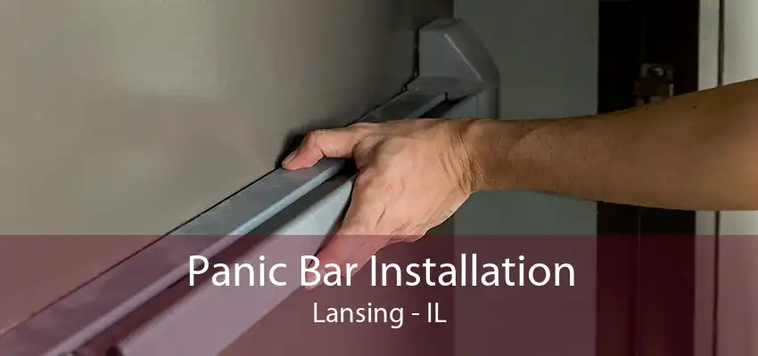 Panic Bar Installation Lansing - IL